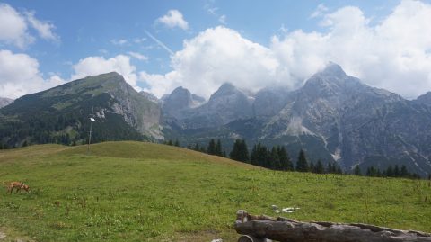 Spitz erhält Green Brands Austria-Gütesiegel