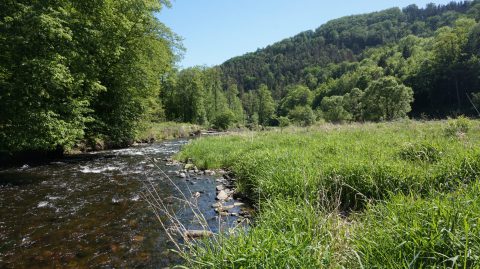 Kostenloser Film, gratis Broschüre für Schutz.Wald.Klima