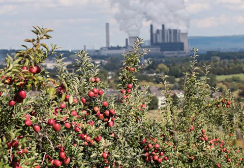 Letztes Kohlekraftwerk abgedreht