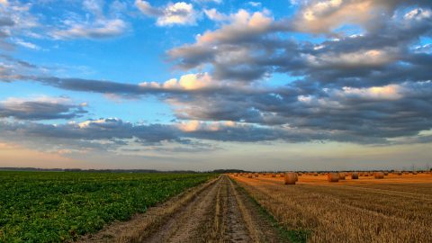 217 Millionen Euro für mehr Klimaschutz