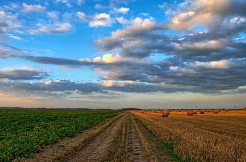 217 Millionen Euro für mehr Klimaschutz