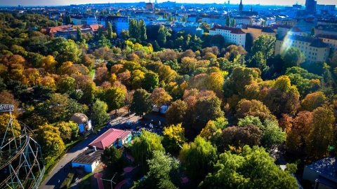 Wien ist die grünste Stadt der Welt