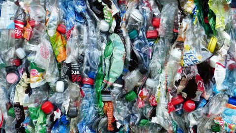 Umweltorganisationen sammelten 2020 knapp 350.000 Plastikteile