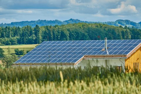 Solarenergie macht den billigsten Strom