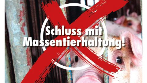 Tierschutzvolksbegehren präsentiert Abschlusskampagne