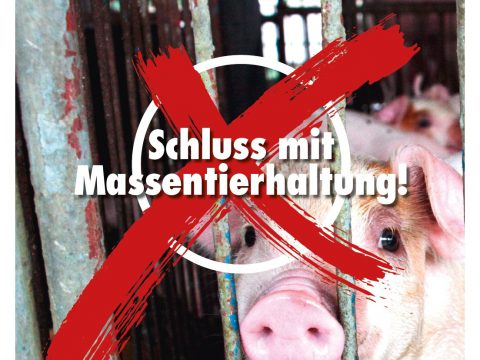 Tierschutzvolksbegehren präsentiert Abschlusskampagne