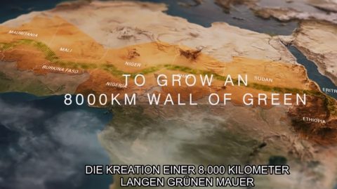 Filmtipp: The Great Green Wall