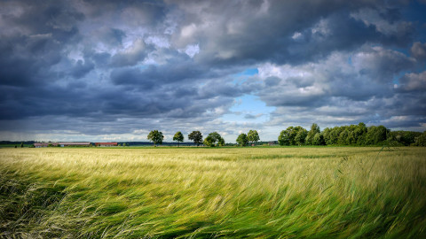 Green Energy Lab startet mit 17 neuen innovativen Projekten