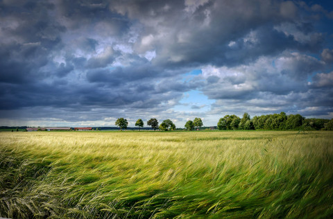 Green Energy Lab startet mit 17 neuen innovativen Projekten