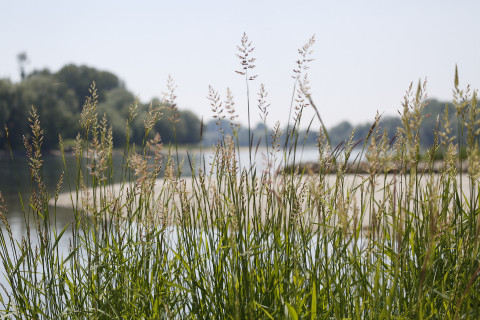 2021 wird der Nationalpark Donau-Auen 25 Jahre alt