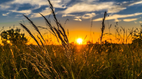 88 Prozent fordern von Regierung einen klaren Plan für Klimaschutz