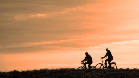 „Wiener Deklaration“ zur Förderung des Radverkehrs beschlossen