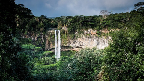 Tag des Regenwaldes: WWF-Analyse zeigt Probleme auf