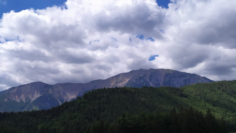 Waldstrategie 2100: Naturnahe und nachhaltige Waldbewirtschaftung