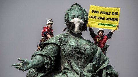 50 Jahre Greenpeace: Ein Kampf für den Umweltschutz