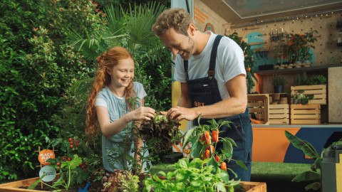 OBI unterstützt Bildungsprogramm GemüseAckerdemie