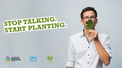 Stop Talking – Start Planting!