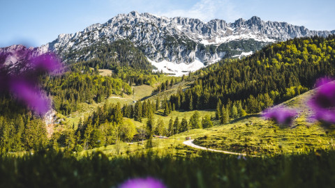 Natur-Tourismus: Symposium zur Zukunft