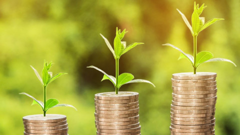 Neue Website: Grünes Geld und nachhaltige Veranlagungen