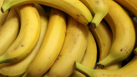 20 Jahre Fairtrade-Banane in Österreich