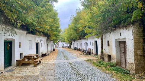 Gehen als Ausweg – meine erste Weitwanderung, der Jakobsweg Weinviertel – Teil 3