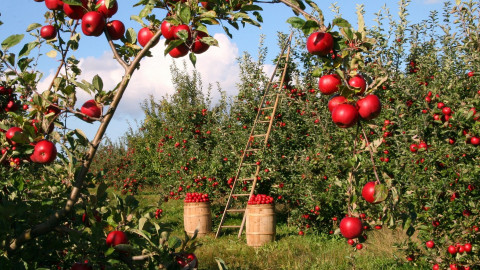 Umweltfachverband will Kreislaufwirtschaft